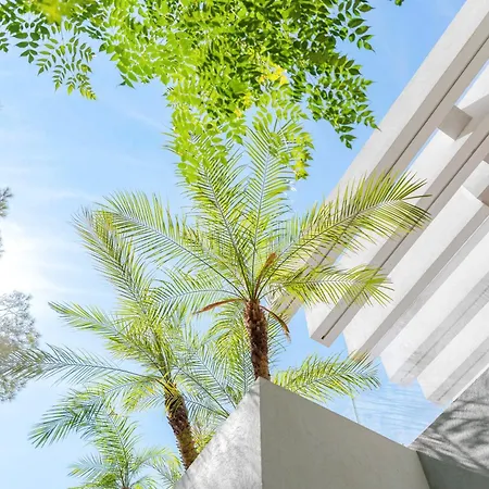 Tokoto Rez De Jardin Vue Apartment