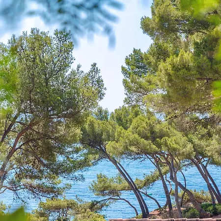 Apartment Tokoto Rez De Jardin Vue La Seyne-sur-Mer