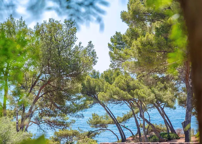 Apartamento Tokoto 1 La Seyne-sur-Mer